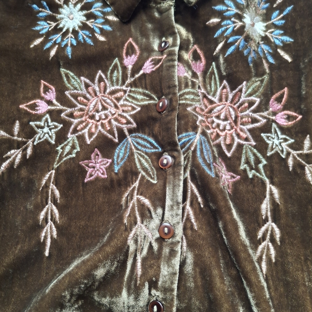 Wayward Fancies Collared Floral Embroidered Velvet Dress- Size In Description - Picture 8 of 16